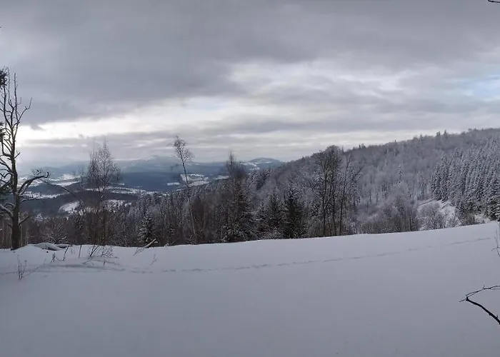 Nad Strumykiem Daire *